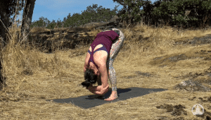 Challenging Beginner Yoga Flow